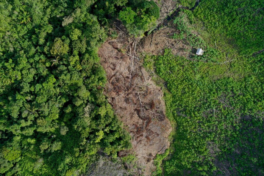 Hilangnya tutupan hutan dapat mengganggu fungsi ekologis dan meningkatkan kerentanan lingkungan. Foto ilustrasi.
