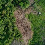 Hilangnya tutupan hutan dapat mengganggu fungsi ekologis dan meningkatkan kerentanan lingkungan. Foto ilustrasi.